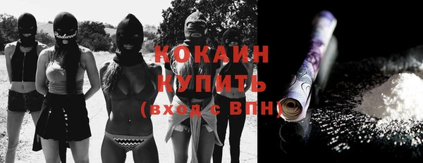 прущие крисы Бородино