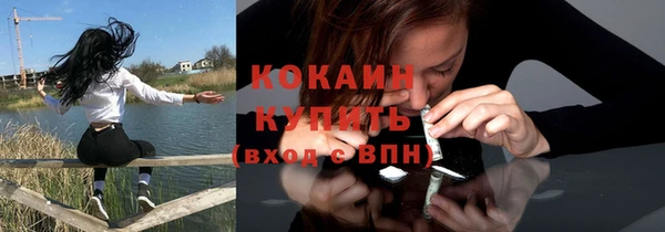 прущие крисы Бородино