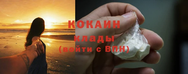 прущие крисы Бородино