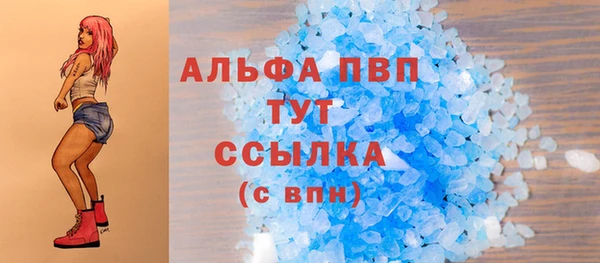 прущие крисы Бородино