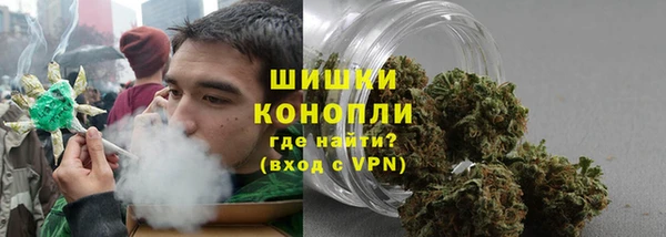прущие крисы Бородино