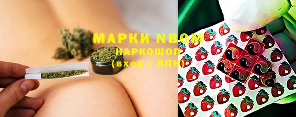прущие крисы Бородино