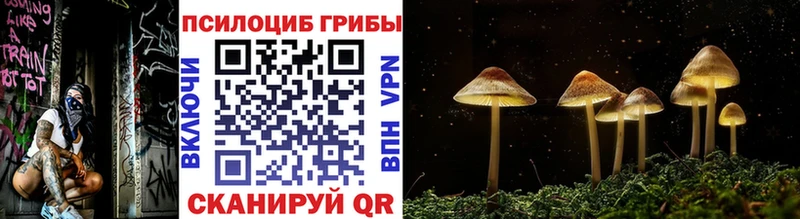 как найти закладки  Чернушка  Галлюциногенные грибы MAGIC MUSHROOMS 